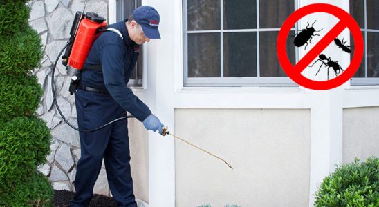 Toroslar Fare İlaçlama böcek ilaçlama ve haşere kontrolü — ilaclama-tr.com